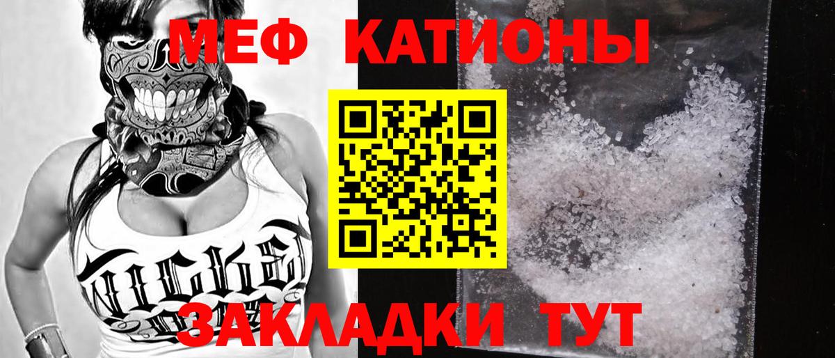 МЕФ  Асино
