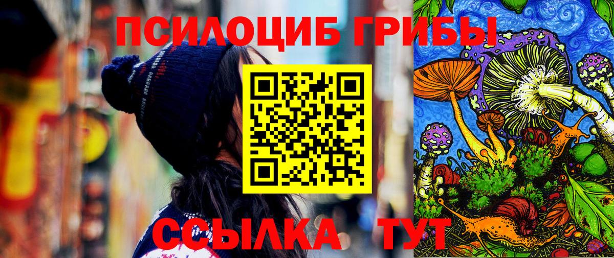Псилоцибиновые грибы мухоморы  Галлюциногенные грибы мухоморы  Асино  где продают наркотики  Вход с VPN 